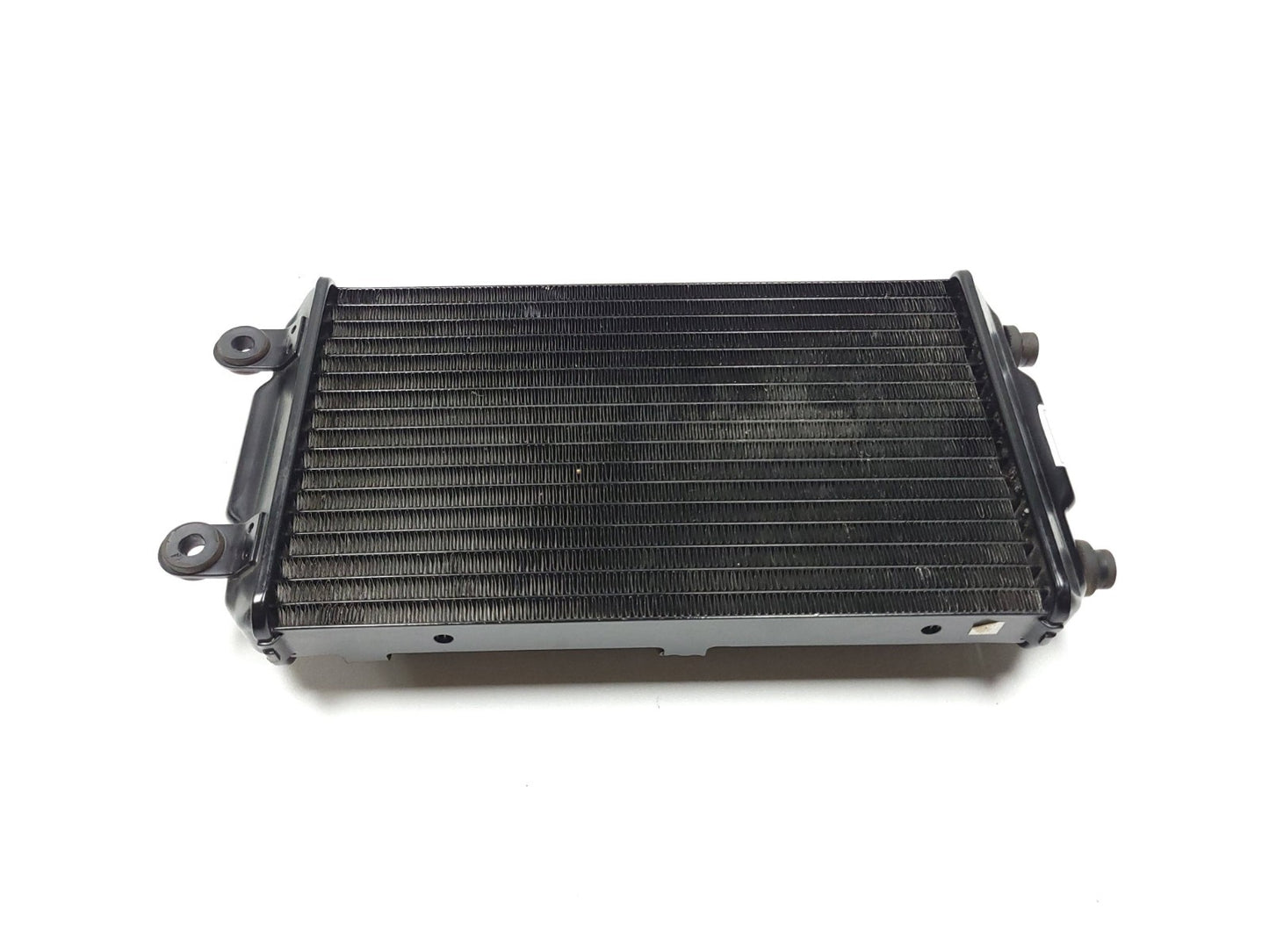 2016 Harley-davidson Street Xg750 Radiator Coolant OEM
