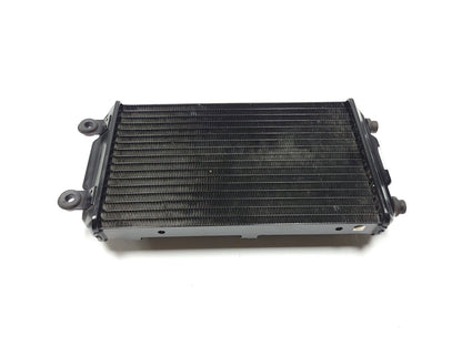 2016 Harley-davidson Street Xg750 Radiator Coolant OEM