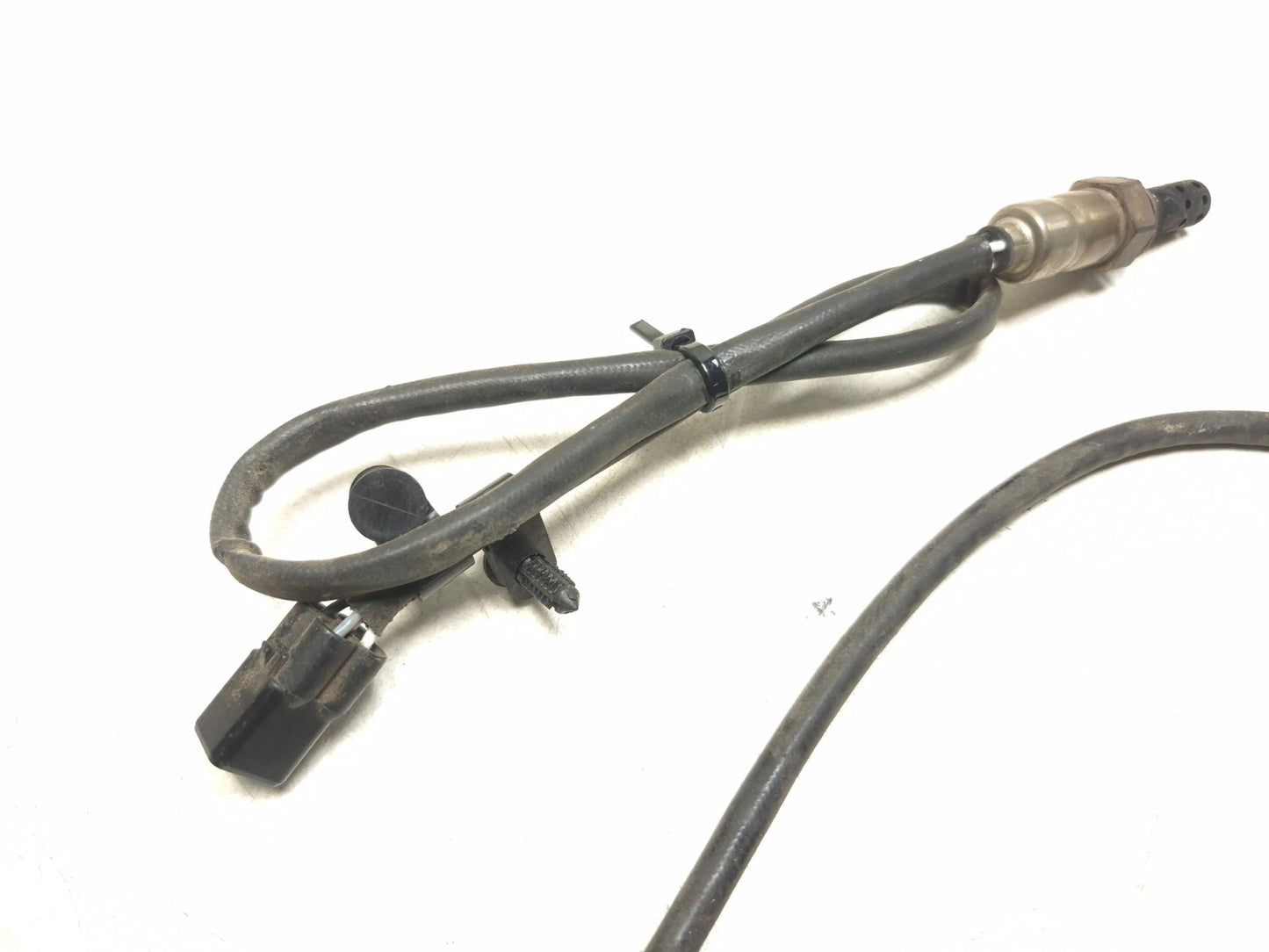 2014 Triumph America Oxygen Sensor Pair OEM
