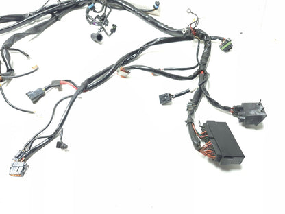2002 Harley Davidson Touring Road King Main Wire Harness OEM