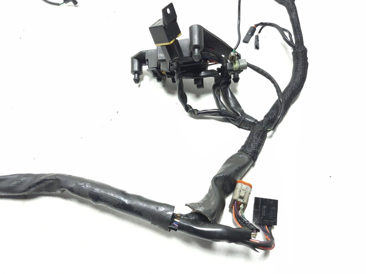 1999 - 2003 Harley Sportster Xl1200 Xl883 Main Wire Harness