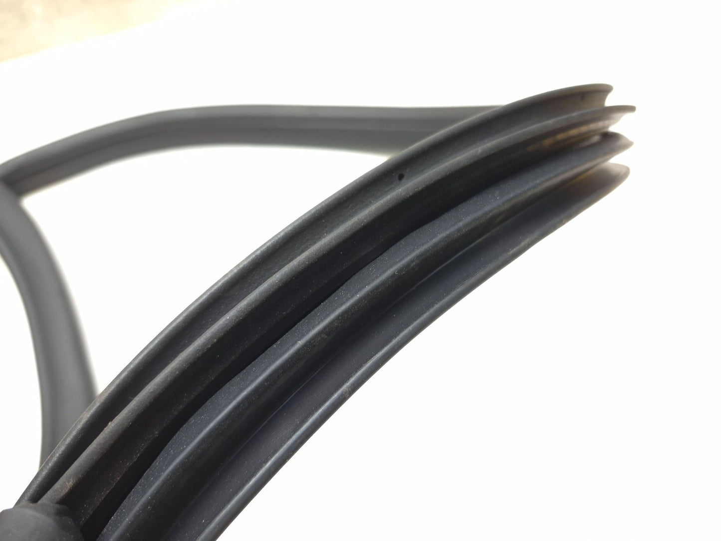 2017 Ford Focus Hatchback Rear Door Weatherstrip Seal Passenger Side Right OEM