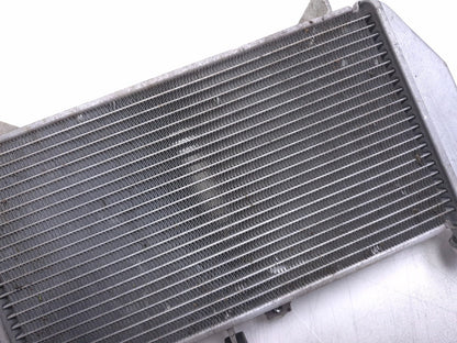 2016 Yamaha Yzf R3 Radiator OEM