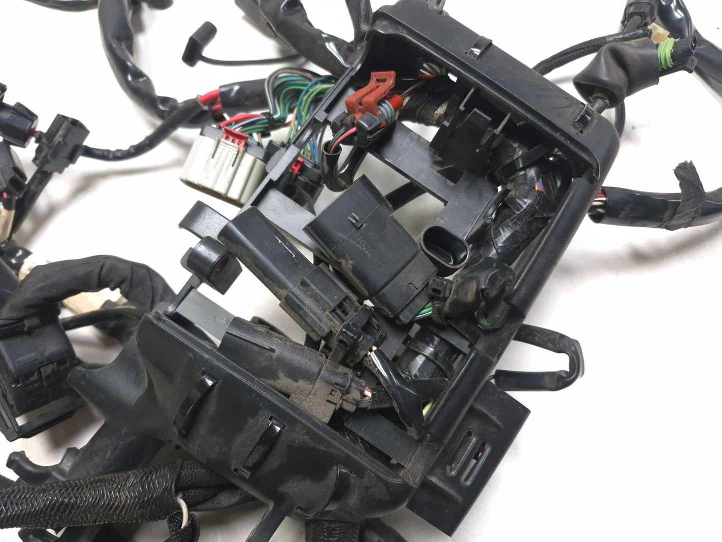 2021 Harley-davidson Sportster Xl1883 ABS Main Wire Wiring Harness OEM