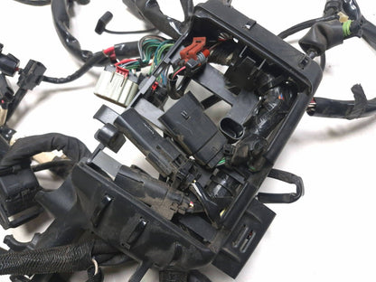 2021 Harley-davidson Sportster Xl1883 ABS Main Wire Wiring Harness OEM