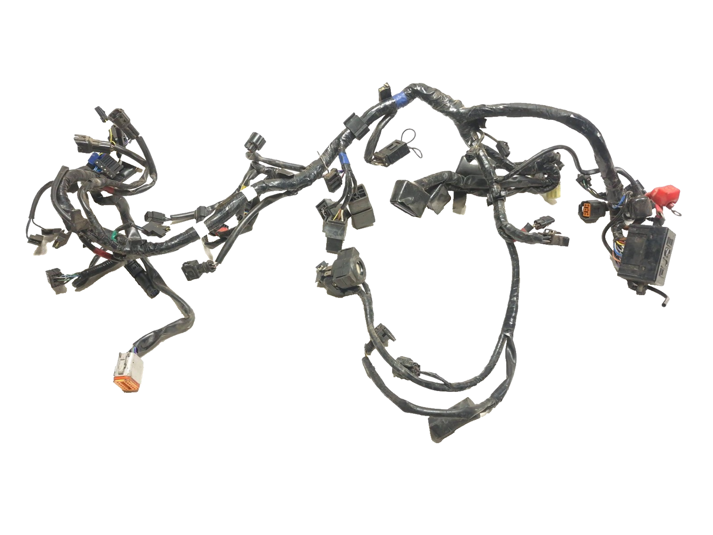 2014 Triumph America Main Wire Harness OEM