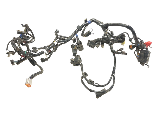 2014 Triumph America Main Wire Harness OEM
