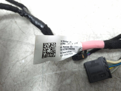 2019 Tesla Model 3 Door Wire Wiring Harness Rear Driver Side Left OEM