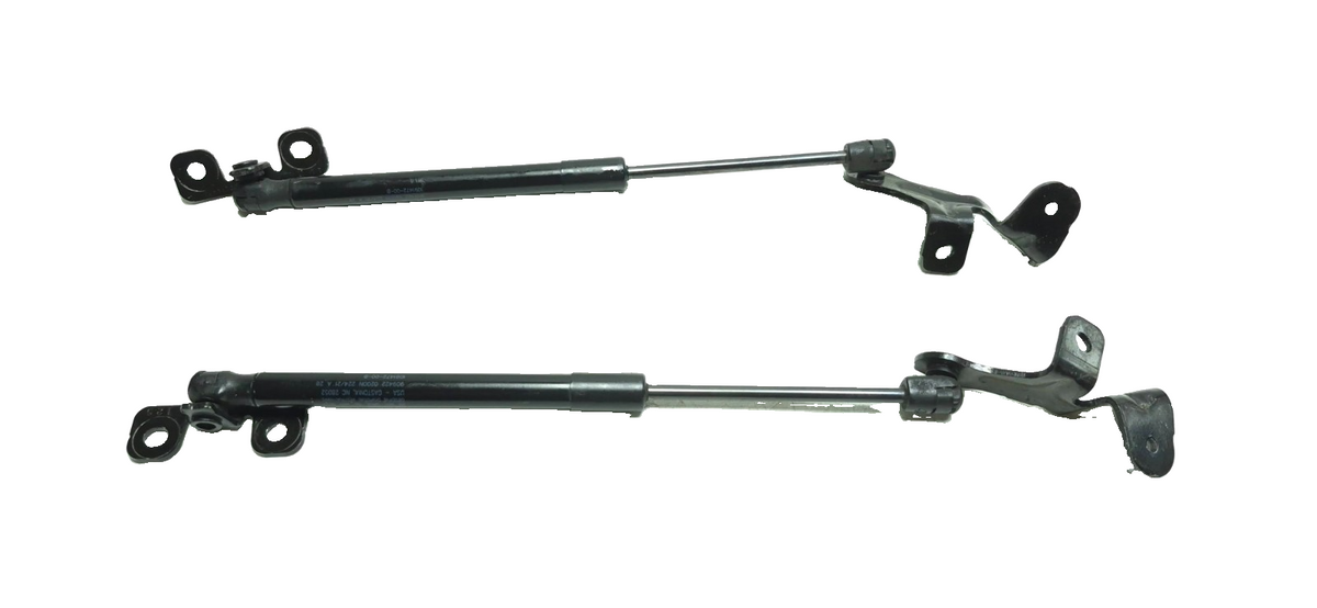 2021 Tesla Model 3 Front  Hood Lift Shock Strut Support 2pcs  OEM