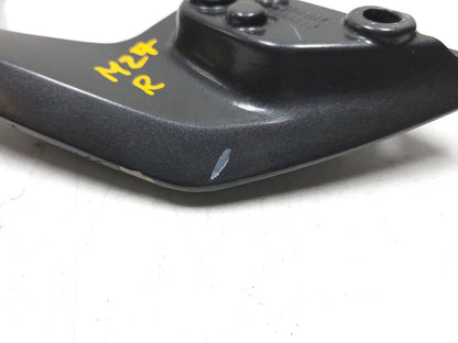 2021 - 2024  BMW G310 R Rear Passenger Grab Rail Left & Right OEM