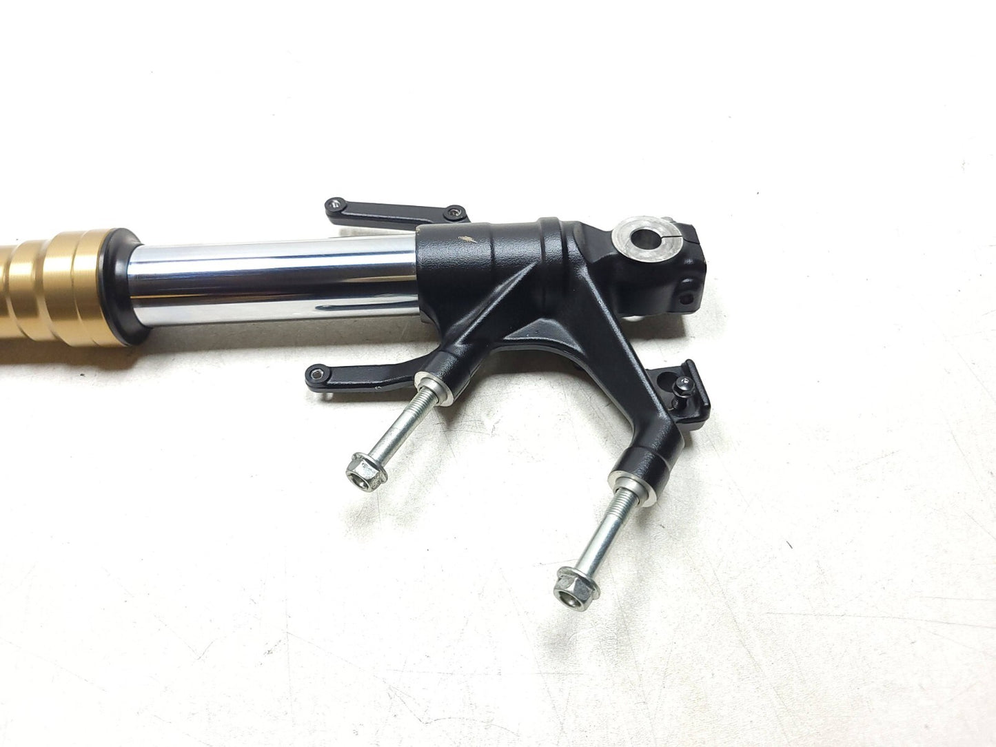 19-25 Honda Cbf300 Cb300 Fork Tube Suspension Legs Straight Right OEM 264 Miles!