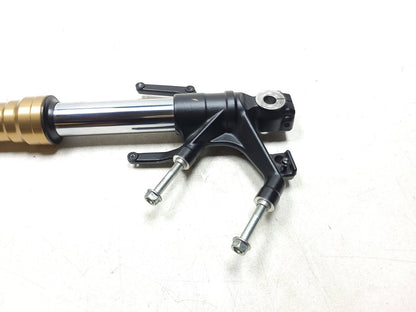 19-25 Honda Cbf300 Cb300 Fork Tube Suspension Legs Straight Right OEM 264 Miles!