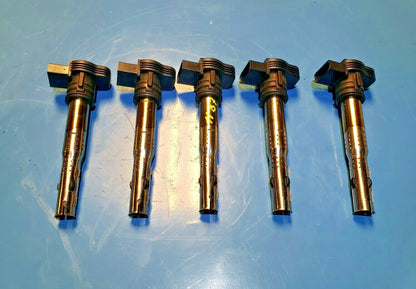 12 13 14 Volkswagen Passat Ignition Coil 2.5l  5pcs OEM