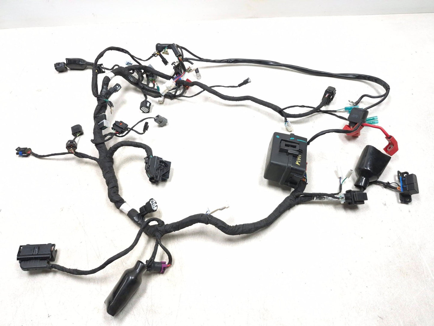 2023 Cf Moto Lifan 300ss Main Wiring Harness OEM
