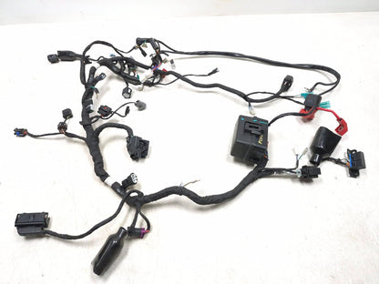 2023 Cf Moto Lifan 300ss Main Wiring Harness OEM