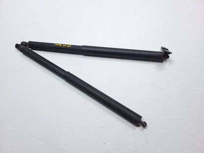 2007 Mercedes Ml500 Rear Trunk Lid Shock Strut Support Pair OEM