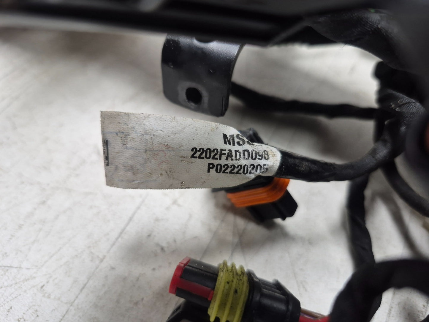 2022 Moto Guzzi V7 Main Wire Harness OEM