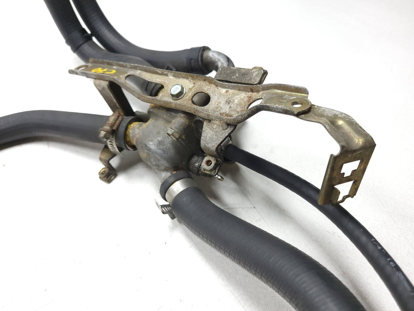 1987 1988 Honda Cbr1000f Thermostat & Hosing  OEM