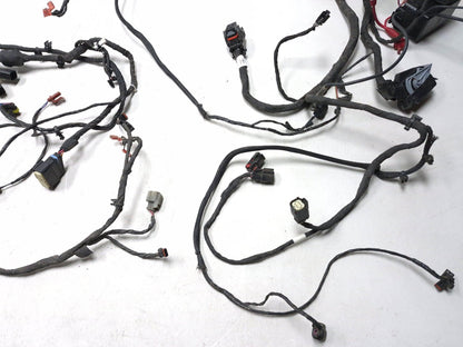 2022 Can-am Ryker 900 Wiring Harness OEM