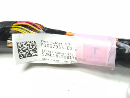 2018 Tesla Model 3 Main Body Wire Wiring Harness Passenger Side 1067955-00-e OEM
