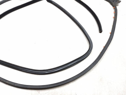 2018 Chrysler 300 Front Door Weatherstrip Seal Driver Side Left 2pcs OEM