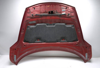 2011 Nissan Juke Hood OEM