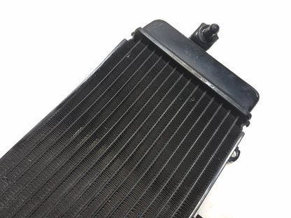 2015 Suzuki Gw250 Inazuma 250 Radiator OEM
