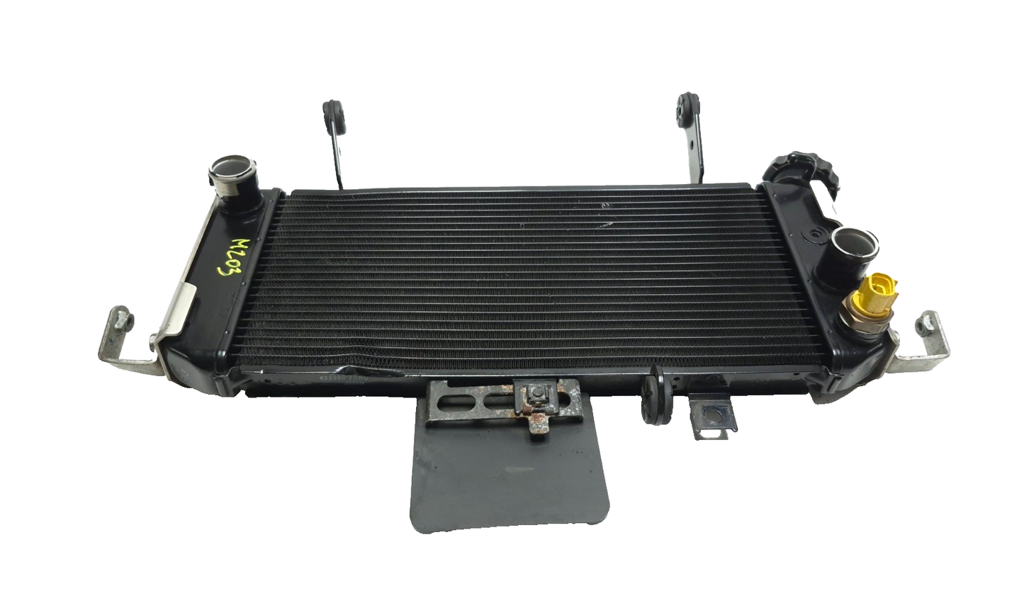 2009 Suzuki Sv650s Radiator 17710-17g40 OEM