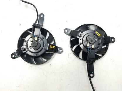 2015 - 2018 Ducati Monster 821 Radiator Cooling Fan 2pcs OEM