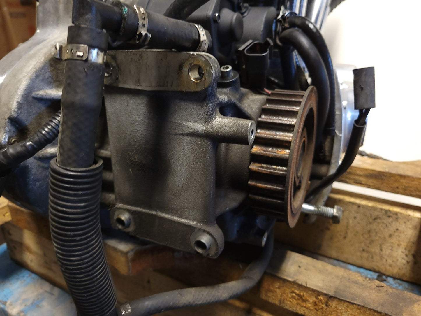 1997 Harley Sportster Xl883  Xl 883 Engine 14.202 Miles ✅