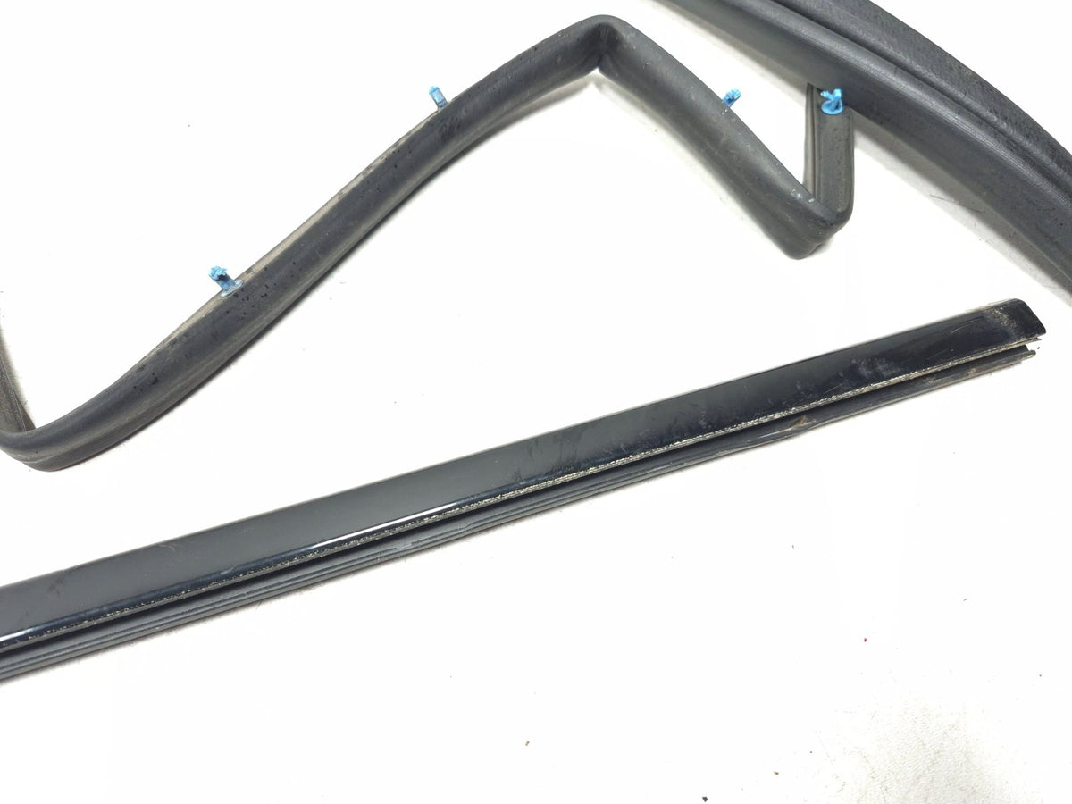2004-2008 Acura Tl Front Door Weatherstrip Seal & Belt Passenger Side Right OEM
