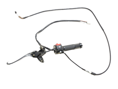 2025 Dongfang Df200stg Front Brake Master Cylinder W/ Switch & Throttle Grip OEM