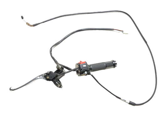 2025 Dongfang Df200stg Front Brake Master Cylinder W/ Switch & Throttle Grip OEM
