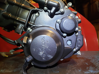 2024 Honda Cbf300 Cb300 Engine OEM 264 Miles!