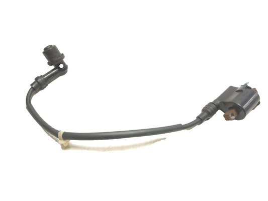 2023 Honda Navi Nva110b Ignition Coil OEM