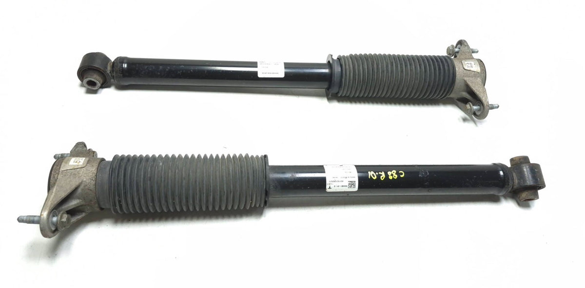 2018 Tesla Model 3 AWD Rear Strut Left & Right 1044461-01-e OEM