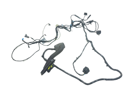2008 BMW X6 E71 Rear Door Wire Harness Driver Side Left OEM