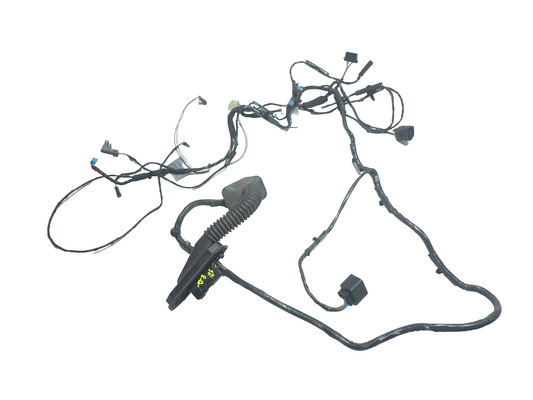 2008 BMW X6 E71 Rear Door Wire Harness Driver Side Left OEM