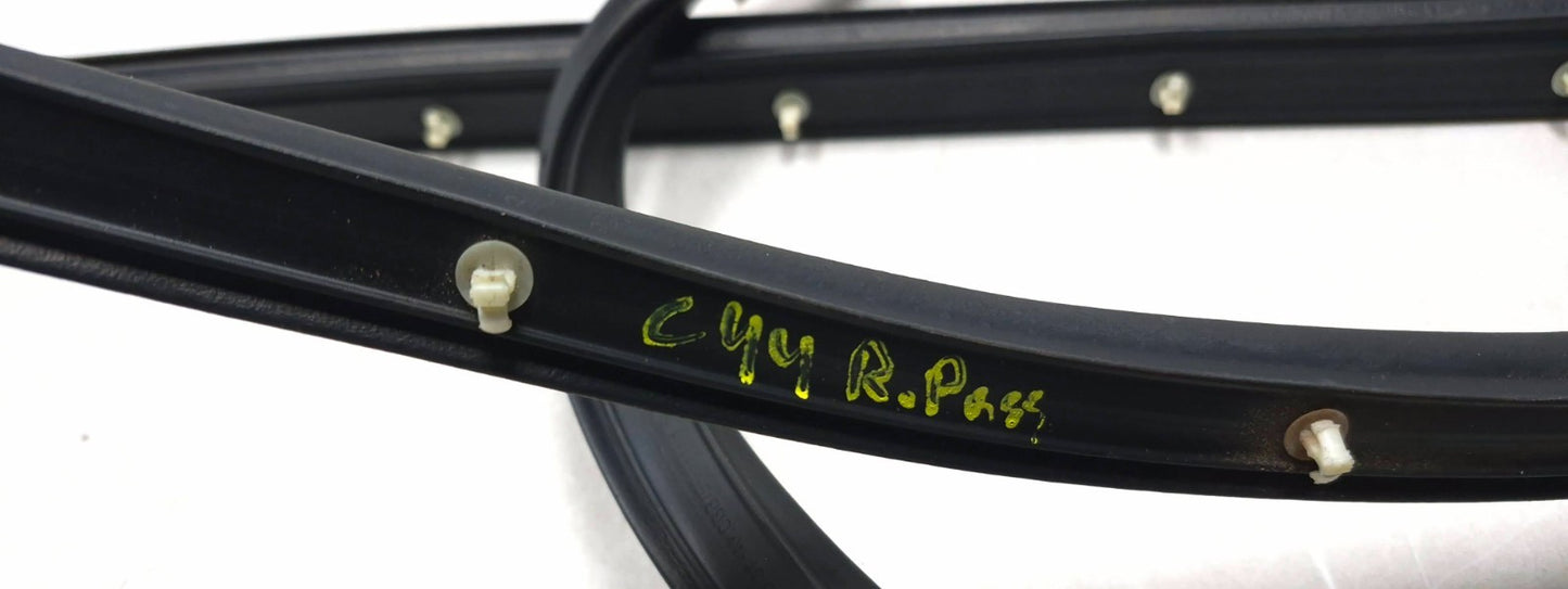 2019 Ford Ecosport Door Weatherstrip Rear Passenger Side Right OEM