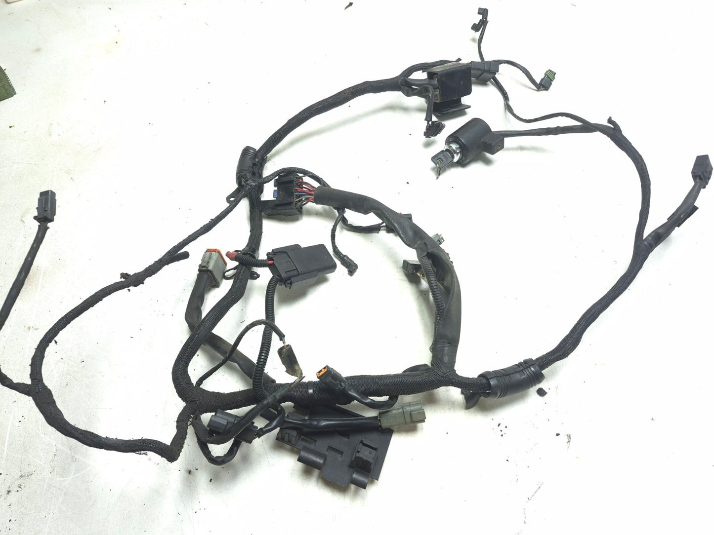 2004 Harley-davidson Sportster Xl883 Main Wire Harness OEM