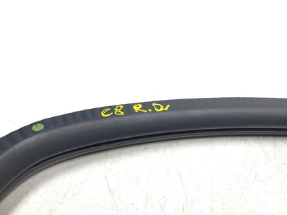 2017 Chevrolet Silverado 1500 Door Weatherstrip Rear Driver Side Left OEM