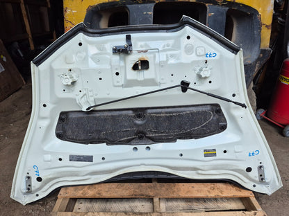 2012 Nissan Leaf Hood Bonnet Panel OEM
