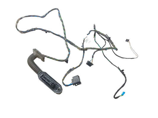 2007 - 2013 BMW X5 E70 Door Wire Harness Rear Driver Side Left OEM
