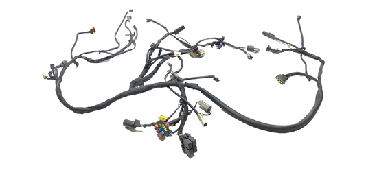 17 - 20 Harley Xg750 Street 750 500 Main Wiring Wire Harness Loom OEM