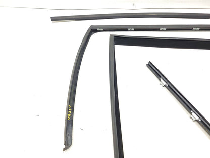 07-13 BMW E70 X5 Door Window Chanel Trim & Seal Rear Passenger Side Rh 4pcs OEM