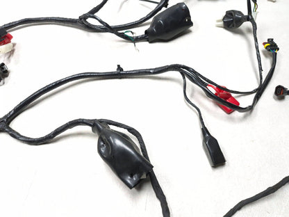 2023 Qianxin Fy200t Main Wire Harness OEM