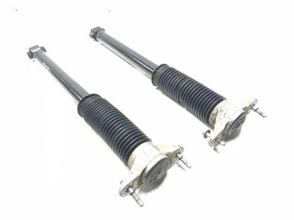 2020 Tesla Model 3 AWD Rear Shock Strut Absorber Left & Right OEM
