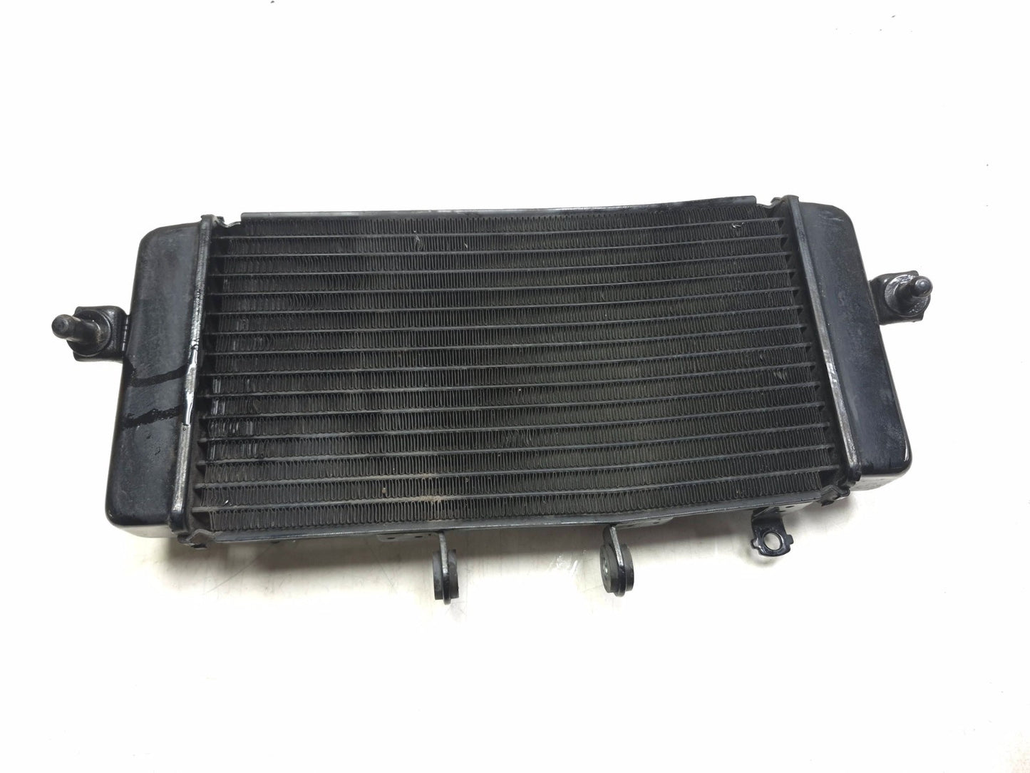 2015 Suzuki Gw250 Inazuma 250 Radiator OEM