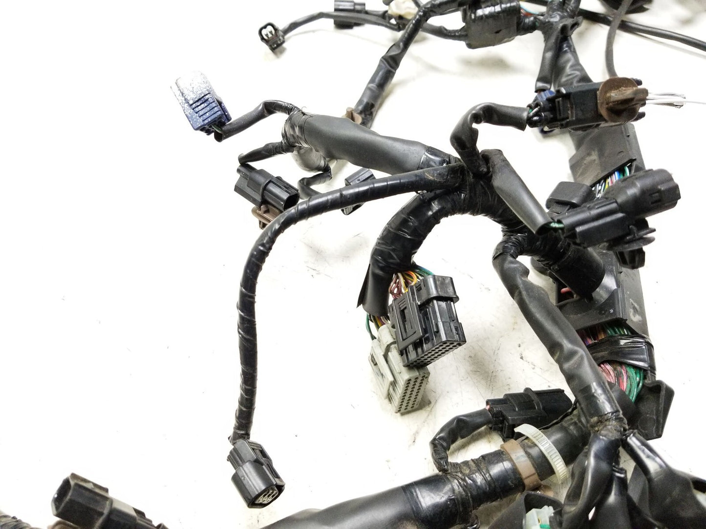 2014 - 2016 Honda Cbr650f Main Wire Harness OEM