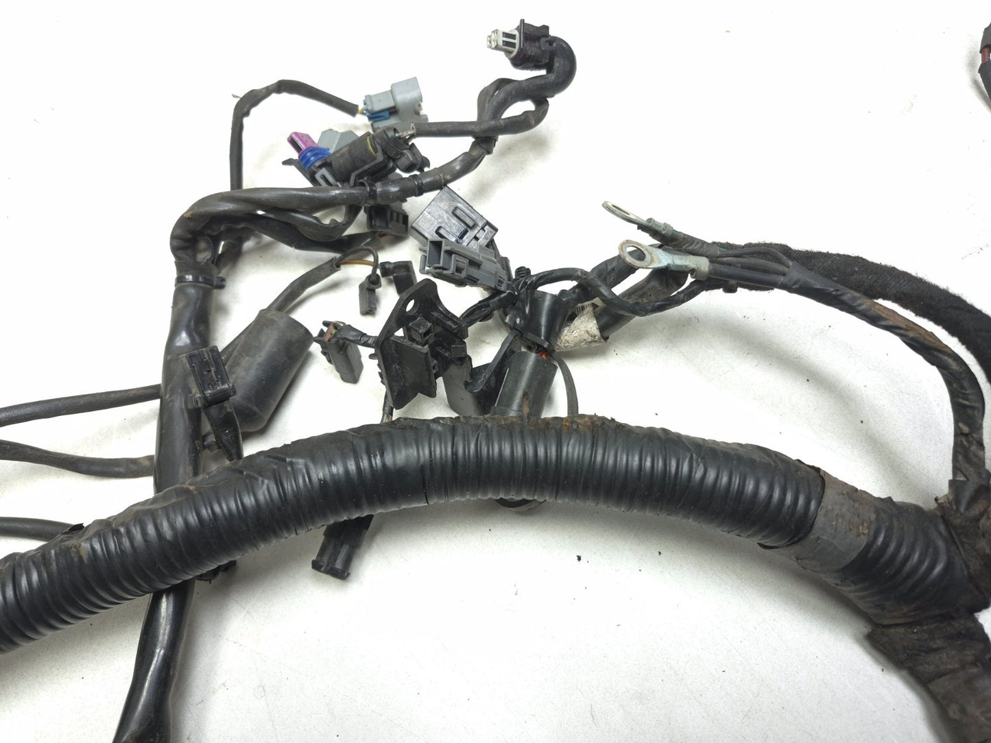 2008 Harley-davidson Dyna Fat Bob Fxdf Main Wiring Wire Harness Loom OEM